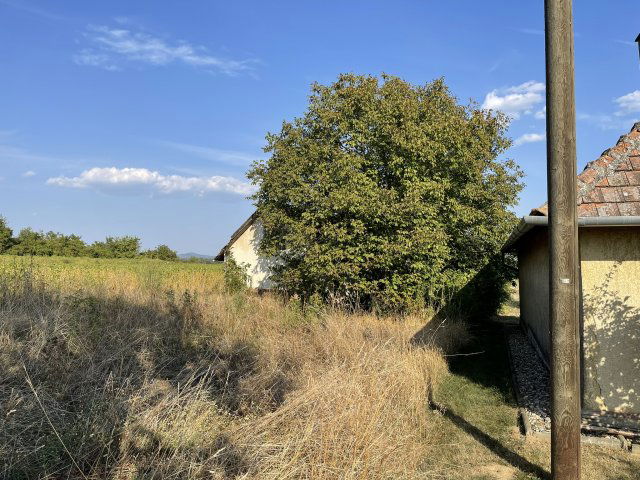 Eladó mezogazdasagi ingatlan, Zalaszentlászlón 6.5 M Ft
