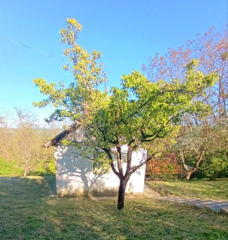 Eladó nyaraló, Nemesapátiban 3.99 M Ft, 1 szobás