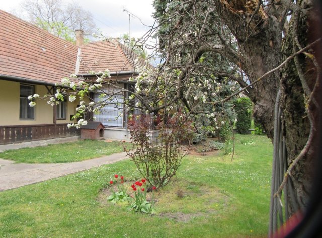 Eladó családi ház, Érden 85 M Ft, 5 szobás