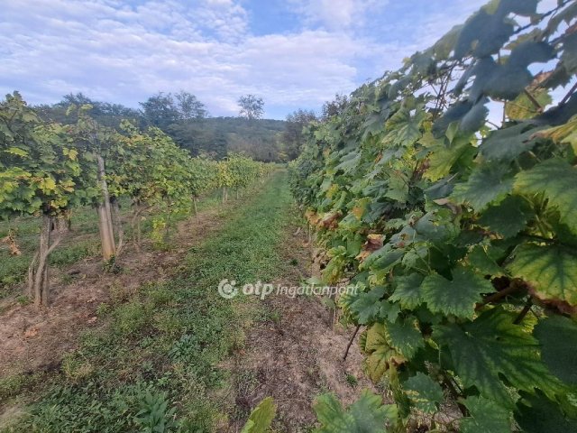 Eladó telek, Káptalantótin 9.5 M Ft / költözzbe.hu