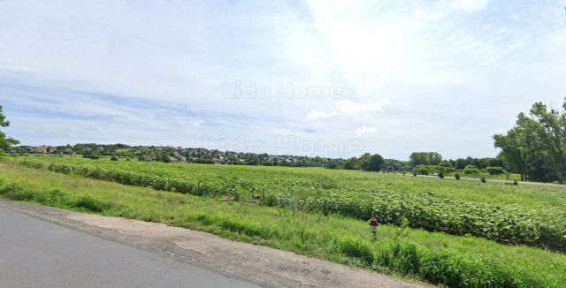 Eladó mezogazdasagi ingatlan, Keszthelyen 22 M Ft