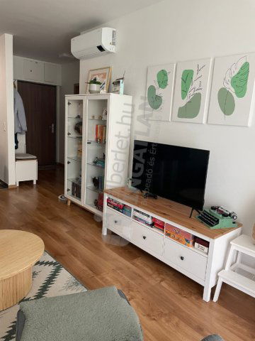 Kiadó téglalakás, albérlet, IX. kerületben, Pápay István utcában