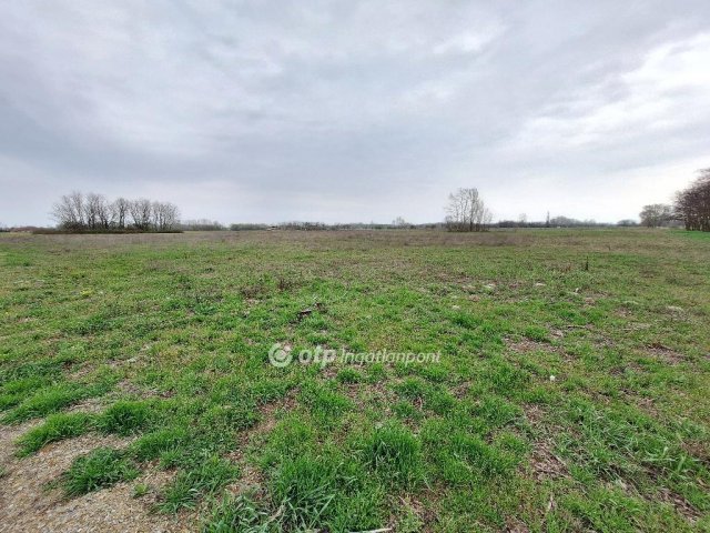 Eladó telek, Tiszakécskén 8.5 M Ft / költözzbe.hu