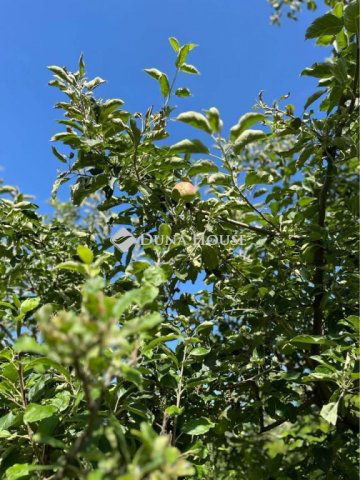 Eladó telek, Szentkirályszabadján 8.5 M Ft / költözzbe.hu