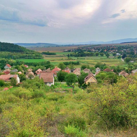 Eladó telek, Rádon 29.9 M Ft / költözzbe.hu