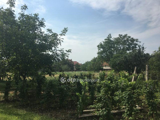 Eladó telek, Domoszlón 4.99 M Ft / költözzbe.hu