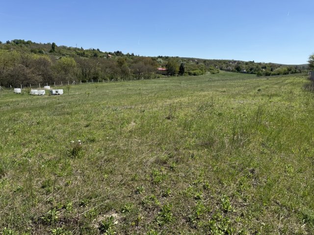 Eladó telek, Lovasberényben, Cserti utcában 21 M Ft