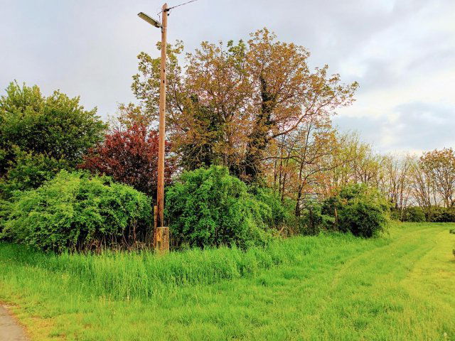 Eladó telek, Szalapán 1.2 M Ft / költözzbe.hu