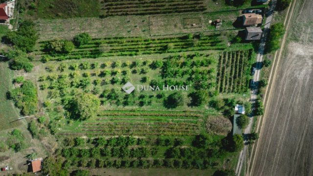 Eladó telek, Tordason 15 M Ft / költözzbe.hu