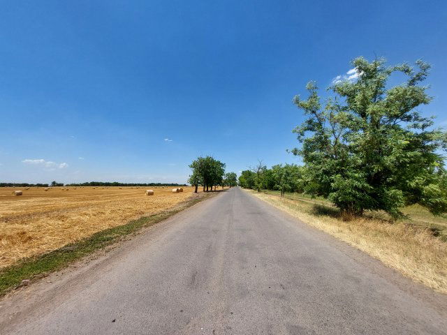 Eladó mezogazdasagi ingatlan, Makón 2.25 M Ft
