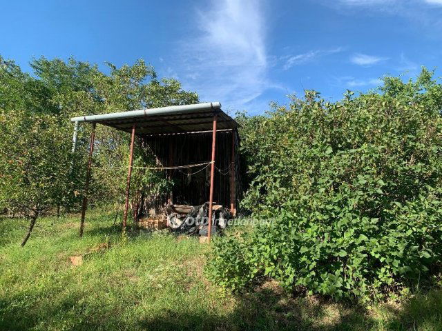 Eladó telek, Gyúrón 10 M Ft / költözzbe.hu