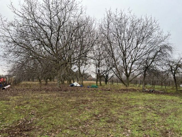 Eladó családi ház, Pilisen, Botond utcában 33.9 M Ft, 2 szobás