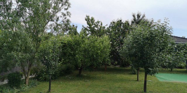 Eladó családi ház, Szombathelyen 129.99 M Ft, 4+2 szobás