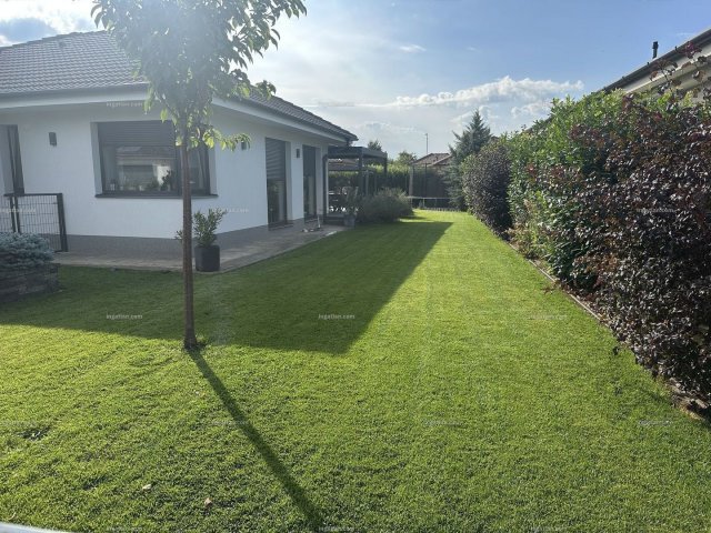 Eladó családi ház, Debrecenben, Vadmeggyes utcában 175 M Ft