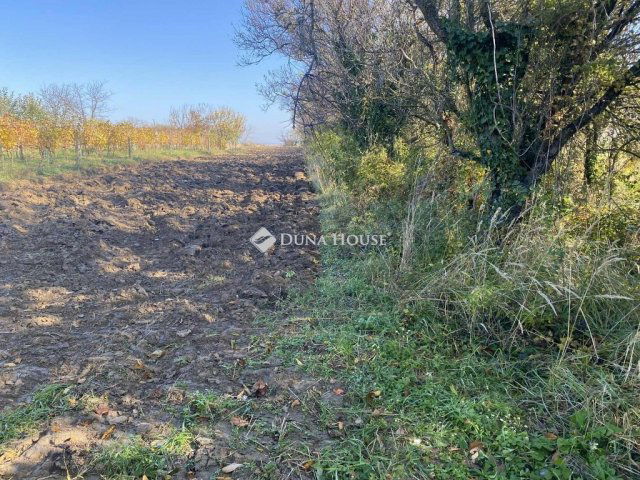 Eladó telek, Isztiméren 3.2 M Ft / költözzbe.hu