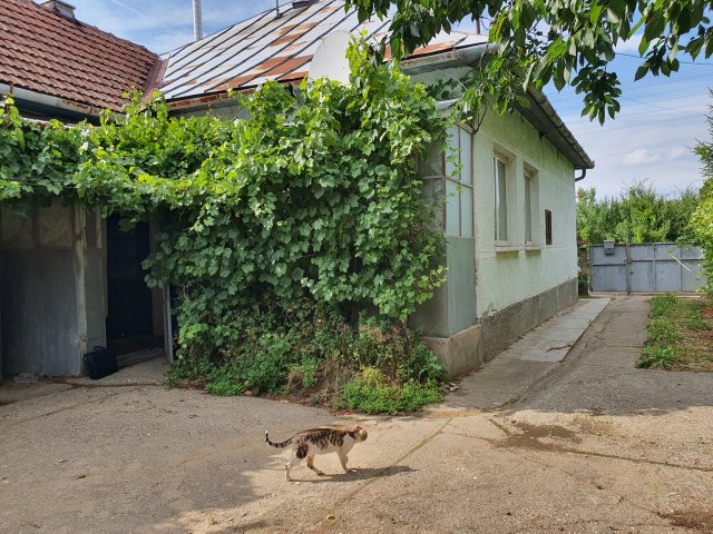 Eladó családi ház, Tornyospálcán 14.95 M Ft, 2 szobás
