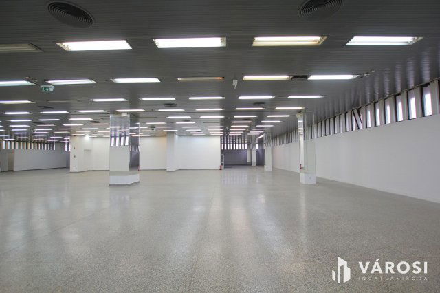 Kiadó üzlethelyiség, Békéscsabán 2844 E Ft / hó