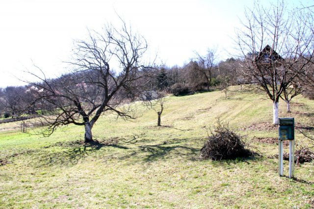 Eladó telek, Pázmándon 7.499 M Ft / költözzbe.hu