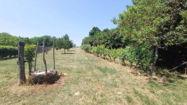 Eladó nyaraló, Zalakaroson 9.8 M Ft, 3 szobás