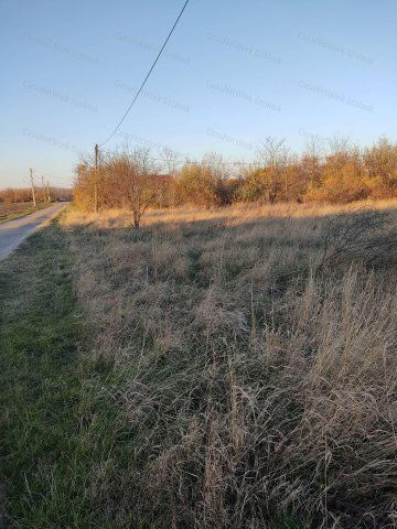 Eladó telek, Tápiószelén 1.5 M Ft / költözzbe.hu