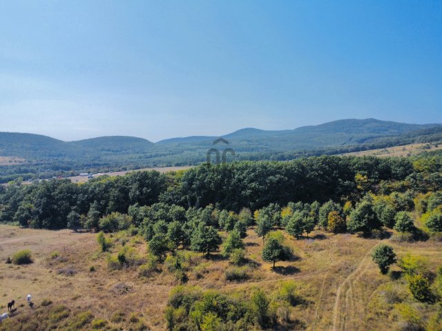 Eladó mezogazdasagi ingatlan, Szentendrén 4.49 M Ft