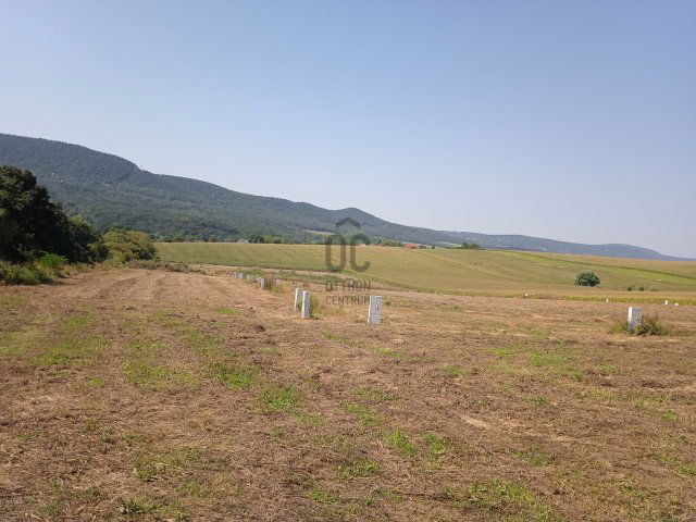 Eladó telek, Ürömön 110 M Ft / költözzbe.hu