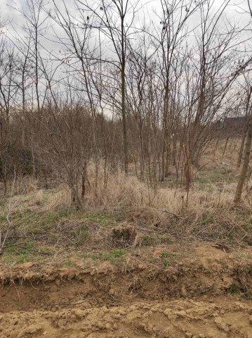 Eladó telek, Karádon 4.5 M Ft / költözzbe.hu