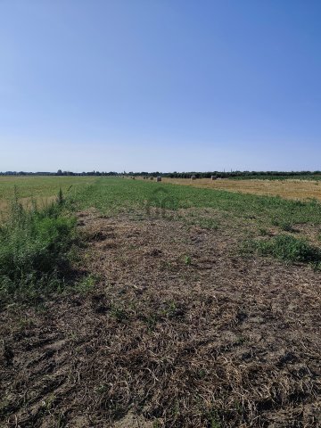 Eladó mezogazdasagi ingatlan, Szigetszentmiklóson 30 M Ft