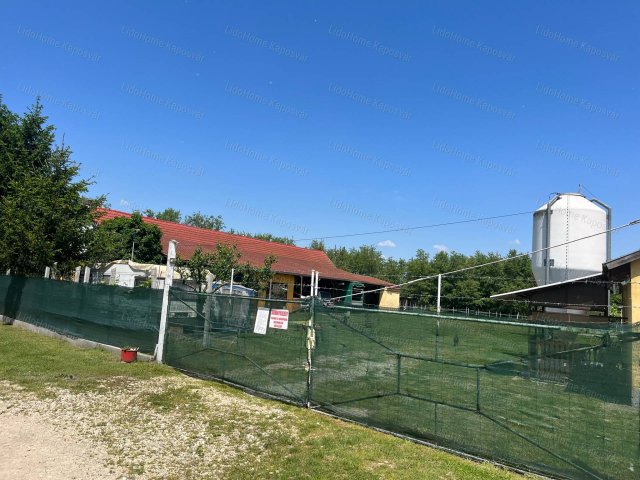 Eladó mezogazdasagi ingatlan, Mikén 120 M Ft