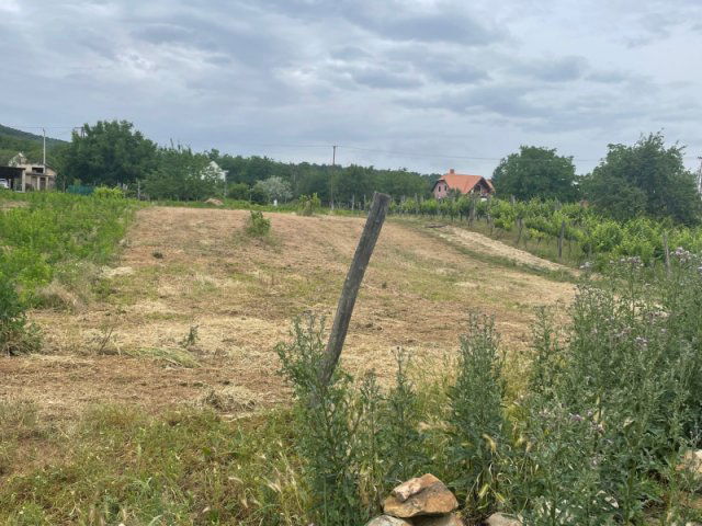 Eladó telek, Ábrahámhegyen 52.9 M Ft / költözzbe.hu