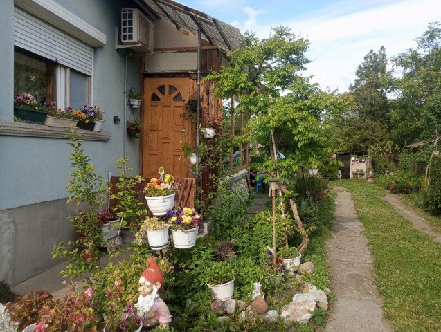 Eladó családi ház, Dormándon 40 M Ft, 6 szobás