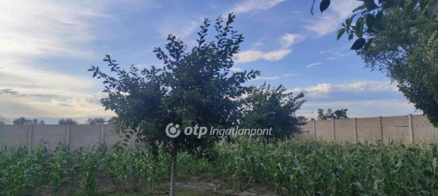 Eladó telek, Szigetszentmiklóson 85 M Ft / költözzbe.hu