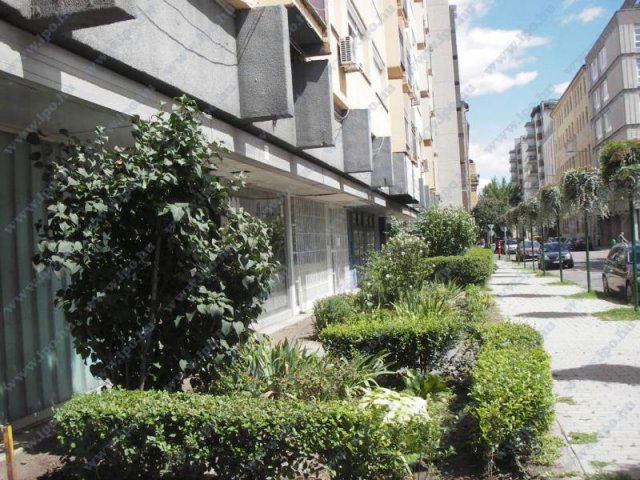 Kiadó panellakás, albérlet, XIII. kerületben, Pannónia utcában
