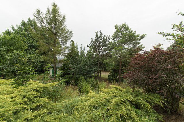 Eladó családi ház, Pécelen 395 M Ft, 6 szobás