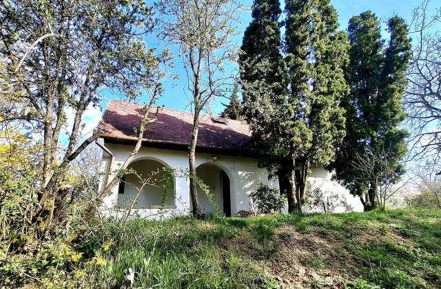 Eladó mezogazdasagi ingatlan, Pellérden 12.99 M Ft