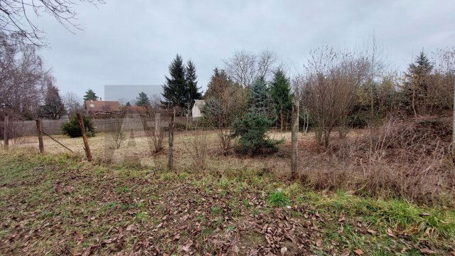 Kiadó telek, Szegeden 450 E Ft / hó / költözzbe.hu