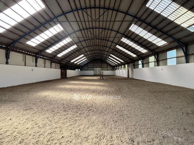 Eladó mezogazdasagi ingatlan, Békéscsabán 240 M Ft, 6 szobás