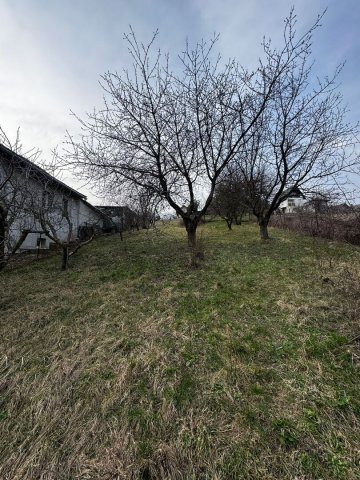 Eladó mezogazdasagi ingatlan, Zalaegerszegen 4.5 M Ft