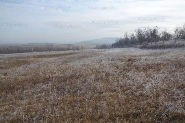 Eladó mezogazdasagi ingatlan, Isaszegen 119 M Ft