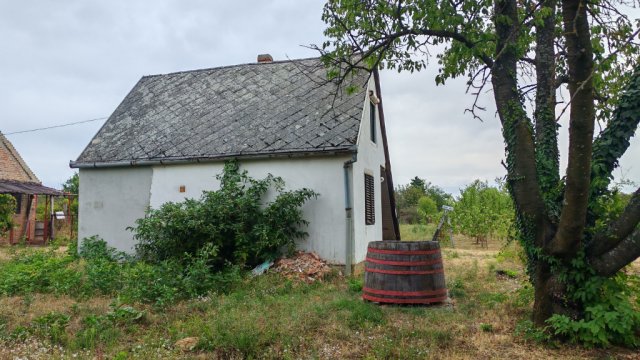 Eladó mezogazdasagi ingatlan, Szigetváron 6.99 M Ft, 1 szobás