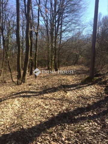 Eladó telek, Kismaroson 4.9 M Ft / költözzbe.hu