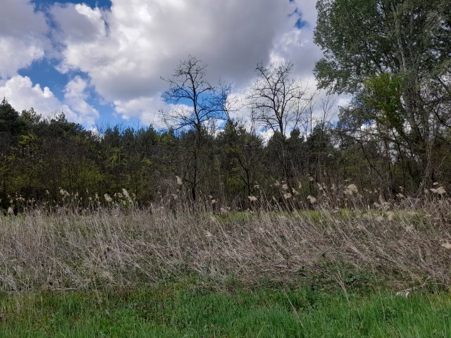 Eladó mezogazdasagi ingatlan, Tápióbicskén 14.9 M Ft