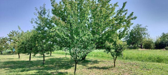 Eladó családi ház, Szilen 37 M Ft, 3 szobás