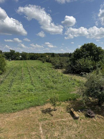 Eladó családi ház, Nyíregyházán 64.9 M Ft, 4+1 szobás