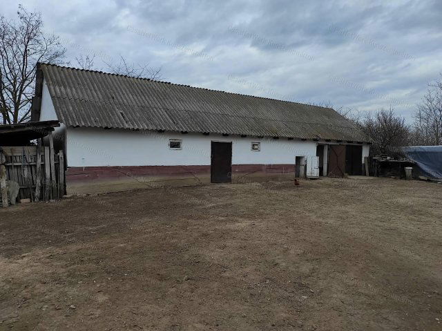 Eladó mezogazdasagi ingatlan, Lajosmizsén 55 M Ft, 4 szobás