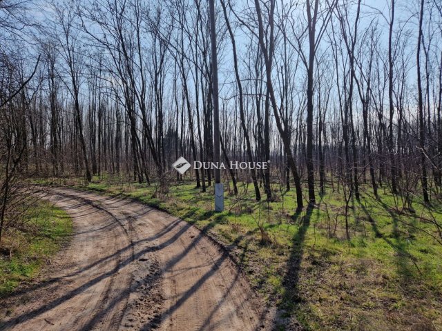 Eladó mezogazdasagi ingatlan, Vasadon 11 M Ft