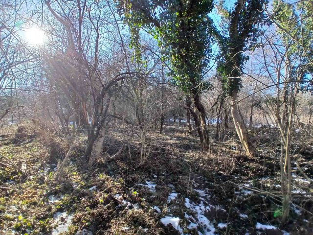 Eladó mezogazdasagi ingatlan, Bakonygyiróton 6.5 M Ft