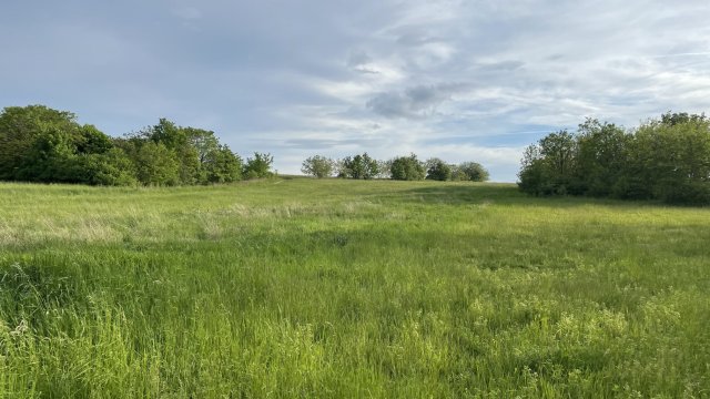 Eladó mezogazdasagi ingatlan, Győrött 11.9 M Ft