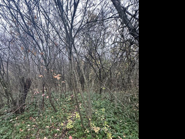 Eladó telek, Kerepesen 22 M Ft / költözzbe.hu