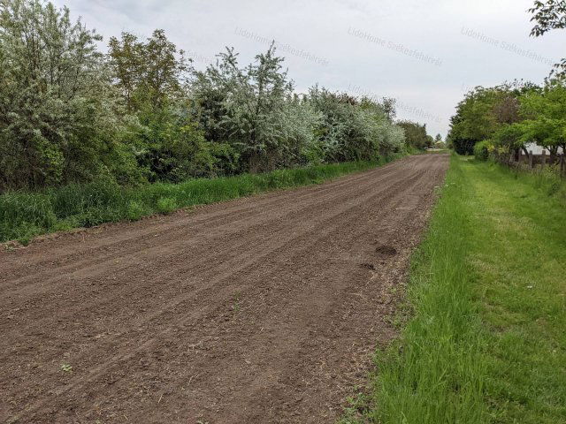 Eladó mezogazdasagi ingatlan, Gárdonyban 8.8 M Ft